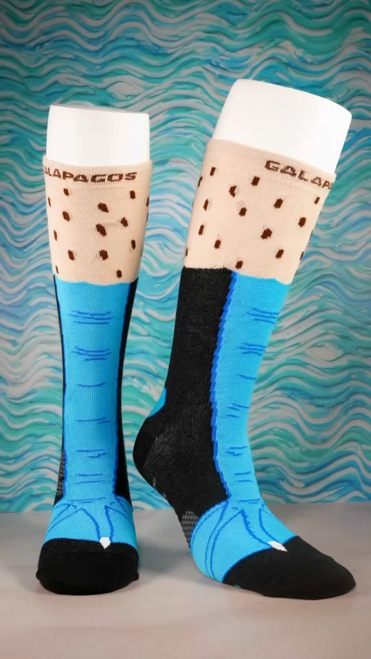 Patas Azules Socks